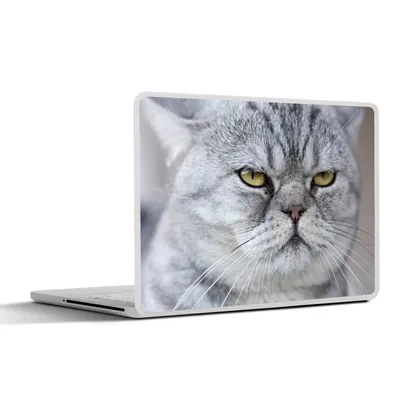 Produktbild von MuchoWow® Laptop Aufkleber Sticker Cover Tier - Katze - Grau 40x30 cm - Laptop Dekoration - Selbstklebend