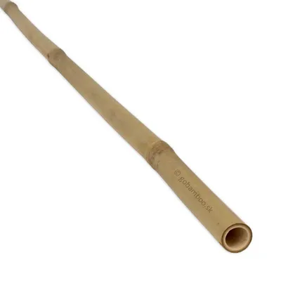 Immagine prodotto di Canna di bambù Tonkin Ø 18–20 mm x 183 cm, confezione da 10 pezzi