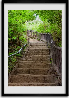 Produktbild von Bild - Bilderrahmen - 50 cm x 70 cm - MDF - Rahmen - Wandkunst Treppen im Wald
