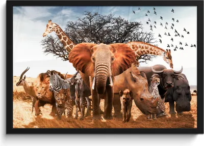 Produktbild von MuchoWow® MuchoWow® Gerahmtes Poster Tiere - Giraffe - Elefant 60x40 cm - Poster mit zchwarzem Bilderrahmen - Printing - Wanddeko Schlafzimmer