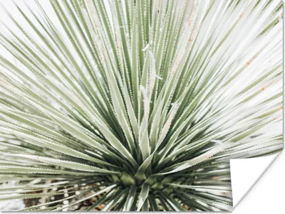 Produktbild von MuchoWow® Poster Grün - Blätter - Natur 120x90 cm - Wandbild