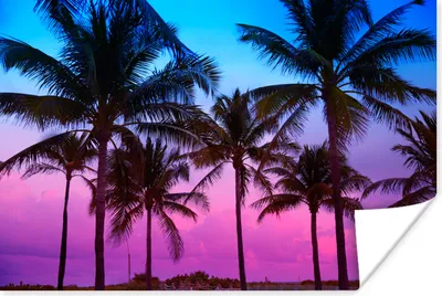 Produktbild von MuchoWow® Poster Palmen - Silhouette - Sommer 180x120 cm - Fotoplakat