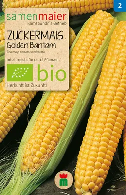 Produktbild von Zuckermais Golden Bantam | Maissamen von Samen Maier