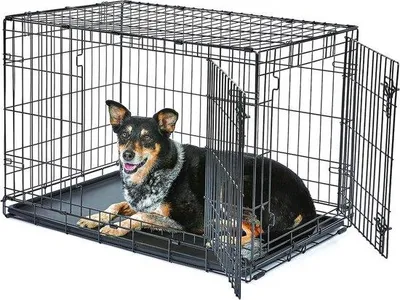 Productafbeelding van Hondenkennel - Hondenbench - Gedragstraining - Dubbele Deuren - 91 x 58 x 63 cm - Zwart