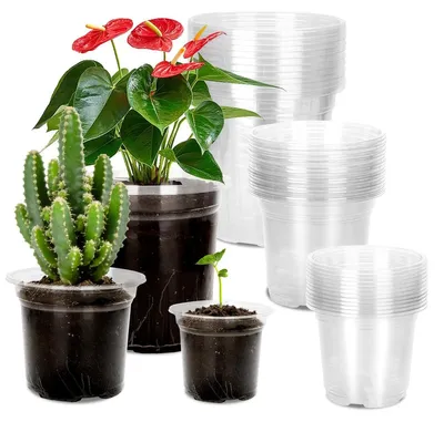 Immagine prodotto di Vaso per piante trasparente in plastica - Set da 15 - 9 cm, 10 cm e 12,7 cm - Per semina e orchidee - Trasparente
