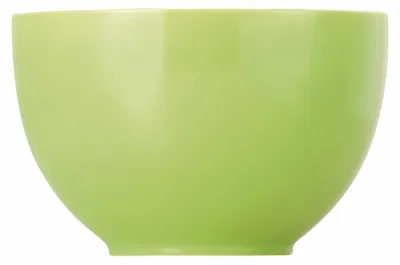 Porzellan-Müslischale 0,45 l grün spülmaschinenfest mikrowellengeeignet