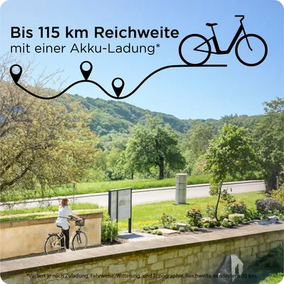 Produktbild von Zündapp Z517 E Bike Damenfahrrad 28 Zoll 155 - 190 cm mit 7 Gang Nabenschaltung und Rücktrittbremse