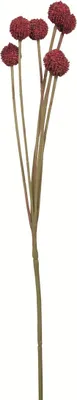 Produktbild von Fink CRASPEDIA, Kunstblume, Kunstfasern, dunkelrot, L. 10 cm, B. 10 cm, H. 60 cm 181008