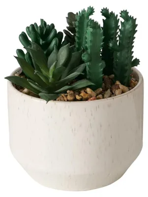 Produktbild von Boltze Künstlicher Sukkulent 12 cm – Pflegeleichte Kunstpflanze im natürlichen Look