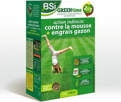 Immagine prodotto di Concime organico BSI Greentime 4 Kg