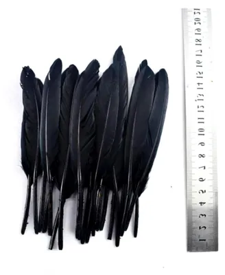 Produktbild von 20 Stück gefärbte schwarze Federn für Schmuck und Bastelarbeiten, 13–16 cm, 12,7–15,2 cm