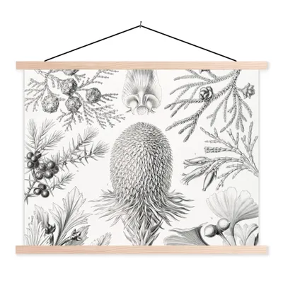 Produktbild von MuchoWow® Textilposter Koniferen - Ernst Haeckel - Kunst - Retro - Illustration - Natur 120x90 cm mit holzfarbenen Rahmen - Magnetisch