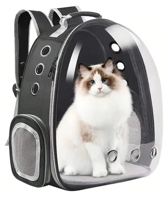 Produktbild von Katze Rucksack Träger, Atmungsaktives Design, Ergonomische Träger, schwarz