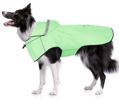 Imagen del producto de Chaqueta impermeable para perros: impermeable y ligera