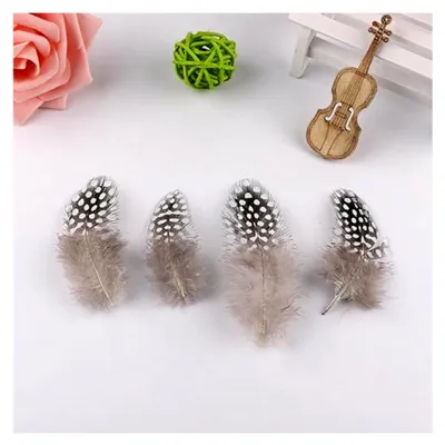 Produktbild von 50 Stück Perlhuhnfedern, Federn zum Basteln, Natürliche Federn Deko Ostern 4,5-10 cm, Gesprenkelte Bastelfedern für DIY Ohrringe, Hochzeit, Traumfänger, Kopfschmuck, Natürliche Farbe