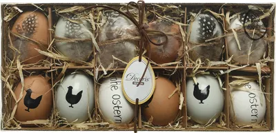 osterdeko hängedeko gartendeko garten echte eierschalen dekoeier mit huhn frühling ostern eier hühner schriftzug motiv federn