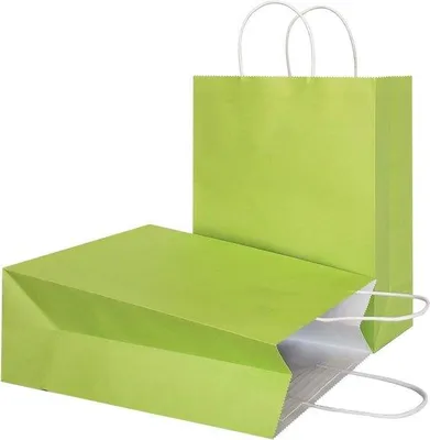 Productafbeelding van Famanu Cadeautas van kraftpapier met handgrepen - Limoengroen - 25 stuks