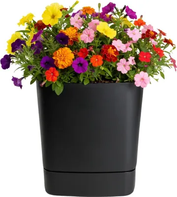 Image de HowHomely | Pot de fleurs avec soucoupe - Pot de plantation - noir - 25 x 25 cm - en matériau recyclé - Jardinière - Cache-pot
