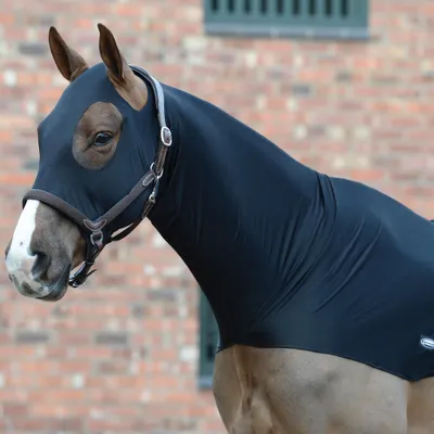 Produktbild von Weatherbeeta Stretch Halsteil - black