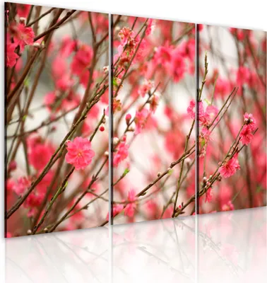 Produktbild von Modernes Wandbild 030210- 42 (120x80) - 3 Teilig Bilder Fotografie auf Vlies Leinwand Foto Bild Dekoration Wand Bilder Kunstdruck Blumen