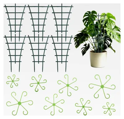 Produktbild von 6 Stück Rankhilfe für Zimmerpflanzen mit Monstera und Alocasia