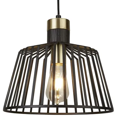 Obrázok produktu pre Závesné priemyselné Birg Cage Steel Black Adjustable 1 Light E27 D30Cm
