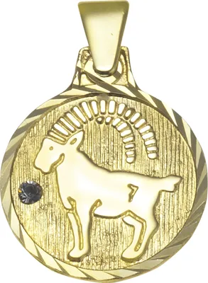 Produktbild von F Anhänger Sternzeichen Steinbock 333/- Gelbgold