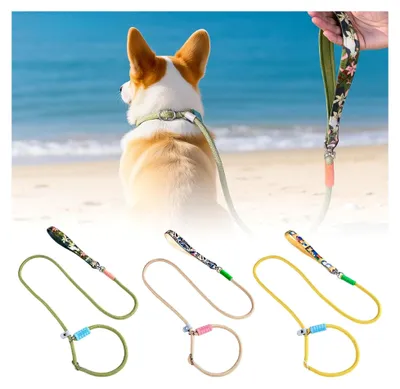 Produktbild von Hundeleine für kleine und mittelgroße Hunde, reflektierendes Nylon, für das Training und Spaziergänge im Freien, leicht und verstellbar (B, 180cm)