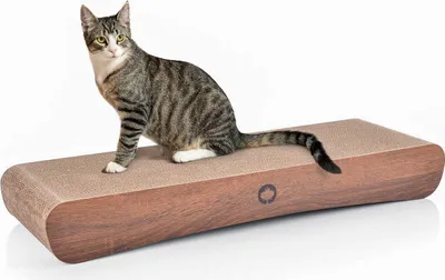 Image de Jumbo Wave XXL | Griffoir pour chat | Chat canadien | Noyer