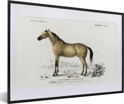 Produktbild von MuchoWow® MuchoWow® Gerahmtes Poster Pferd - Vintage - Tier 60x40 cm - Poster mit zchwarzem Bilderrahmen - Schlafzimmer - Plakat in Rahmen - Drucken