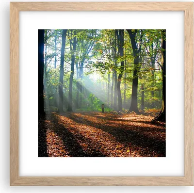 Produktbild von Gerahmtes Poster - Rahmen in heller Eiche - Wald Blätter Sonne - 30x30 cm - Wand Bild - Wanddeko - Wandbilder - Wandposter - Bilderrahmen - Bilder - Kunstdruck - Wandbild - P2NAC30x30-0136