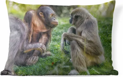 Produktbild von MuchoWow® Outdoor Kissen - Affen - Tiere - Familie - 50x30 cm - Wetterfest - Lounge Kissen - Sofa kissen - Wohnzimmer Dekoration
