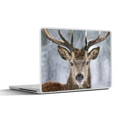 Produktbild von MuchoWow® Laptop Aufkleber Sticker Cover Hirsche - Geweihe - Schnee 40x30 cm - Laptop Dekoration - Selbstklebend