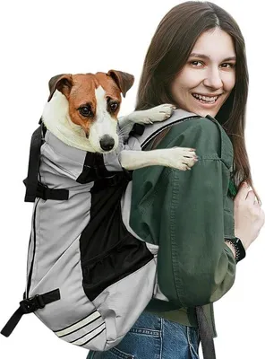 Produktbild von Famanu Hunde-Rucksack verstellbar für kleine und mittelgroße Hunde - platzsparende Haustier-Rucksack für Wandern, Bergsteigen und Reisen (L)