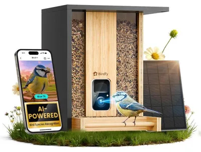 Image de Birdfy Feeder Bamboo AI by Subscription w/ Solar, 1080P, AI,IP66