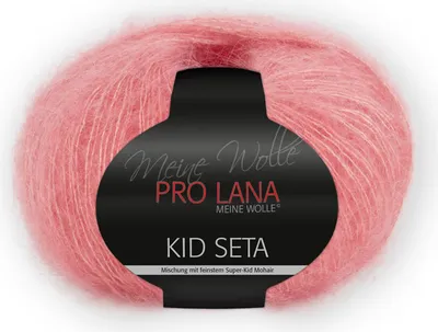 Produktbild von Pro Lana Kid Seta Uni 25g (35)