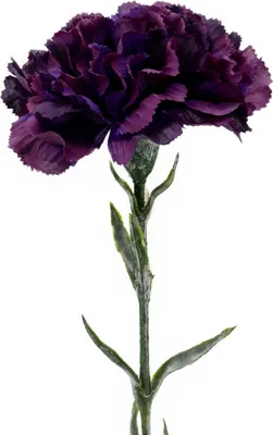 Produktbild von Täuschend echte künstliche Nelke Lila - Realistische Textilfaserblüten, langlebig & pflegeleicht - Perfekt für Vasen oder Arrangements - 64 cm