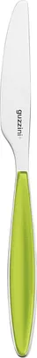 Produktbild von Fratelli Guzzini 23000384, Tischmesser, Einteilige Konstruktion, 22,5 cm, Edelstahl, Edelstahl, Grün