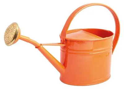 Produktbild von Gießkanne aus verzinktem Stahl mit Brause 1,75 Liter