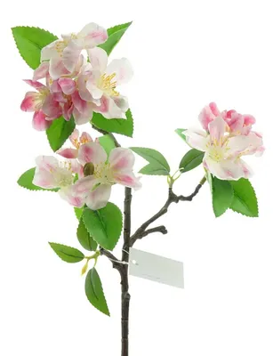 Produktbild von DPI Apfelblütenzweig Rosa & Weiß 42 cm - Kunstblumen