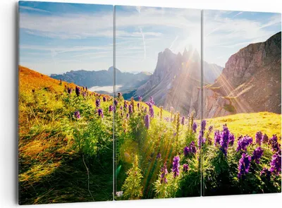 Produktbild von Bild auf Leinwand - Leinwandbild - Berge Wiese Blumen - 165x110cm - Wand Bild - Wanddeko - Leinwanddruck - Bilder - Kunstdruck - Wanddekoration - Leinwand bilder - Wandkunst - CE165x110-4008