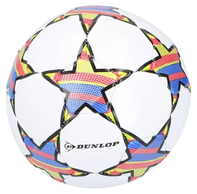 Image de Dunlop - Mini-ballon d'entraînement pour enfants, 32 panneaux, taille 2 (blanc/rouge)