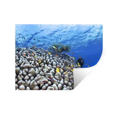 Produktbild von MuchoWow® Wandtattoo Wandsticker Wandaufkleber Unterwasser-Riff mit Fischen 40x30 cm Selbstklebend und Repositionierbar - Faltenfrei