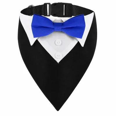 Produktbild von Elegantes Hunde Halstuch schwarz blau mit Fliege, Hundehalsband im Gentleman Stil, verstellbar für Hochzeit und besondere Anlässe