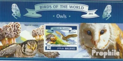 Produktbild von Briefmarken Malediven 2015 Mi Block 827 (kompl. Ausg.) postfrisch Eulen
