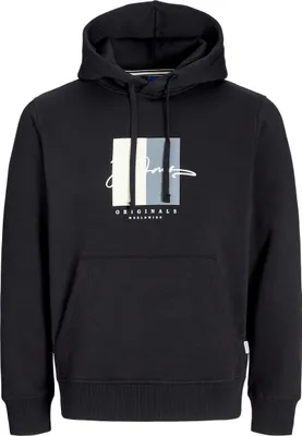 Image de Jack & Jones hoodie FREDERIKSBERG Hoodie