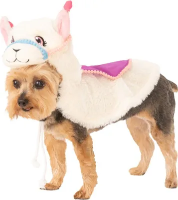 Produktbild von Bristol Novelty - Hundekostüm BN4975 (S) (Pink)