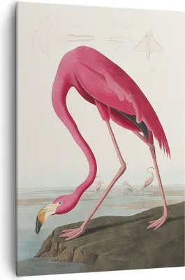 Produktbild von Bild auf Leinwand - Leinwandbild - Einteilig - Flamingo Vogel Exotik - 70x100cm - Wand Bild - Wanddeko - Wandbilder - Leinwanddruck - Wanddekoration - Leinwand bilder - Wandbild - PA70x100-5137
