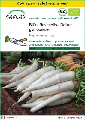 Immagine prodotto di SAFLAX Insieme di coltivazione -- Ravanello - Daikon giapponese - 100 semi - Raphanus