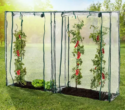 Produktbild von GreenYard Tomatengewächshäuser, ca.150 x 100 x 50 cm - 2 Stück